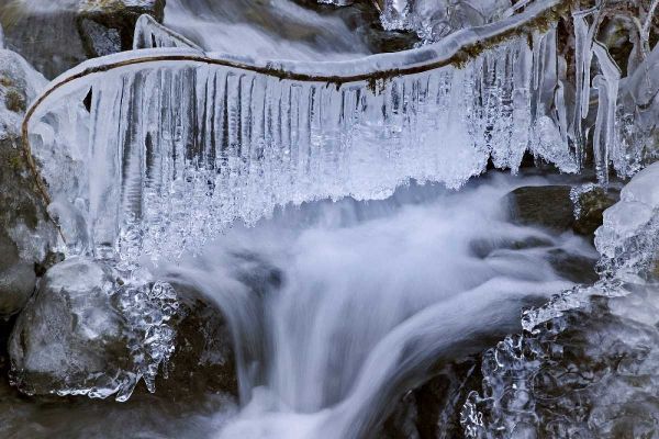 Washington, Olympic NP Icy winter waterfall
